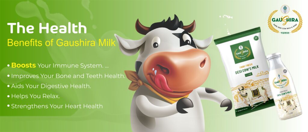 The Health Benefits of Gaushira: Pure Desi Cow Milk