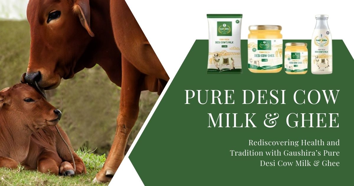Gaushira: Pure Desi Cow Milk & Ghee for Health and Tradition