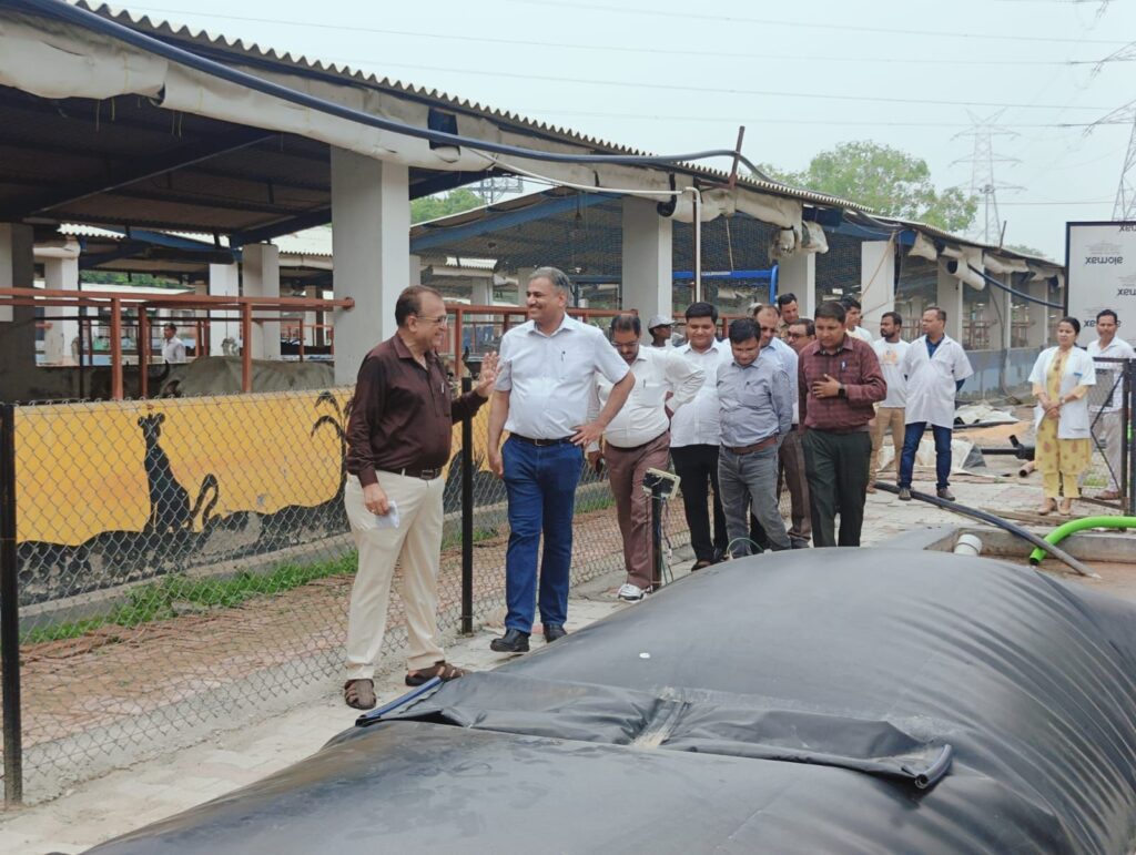 05 Gaushira 01-08-2024