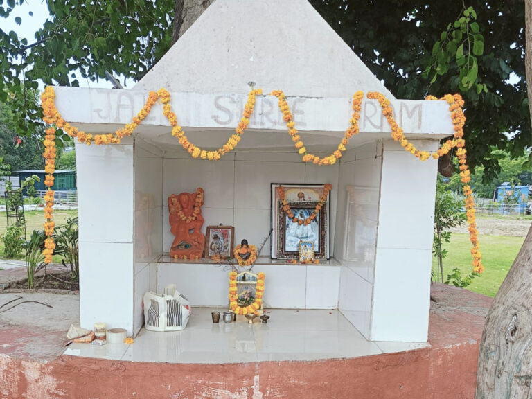 Gaushira (28) 1